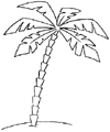 Jak narysować palma