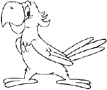 Jak narysować papugę