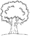 Jak narysować drzewo